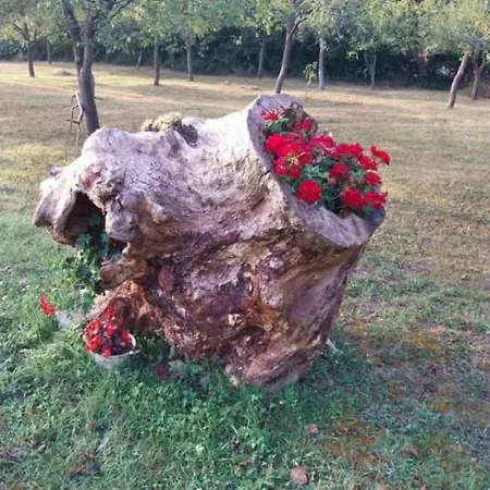 Apartment Lika Quiet Srb