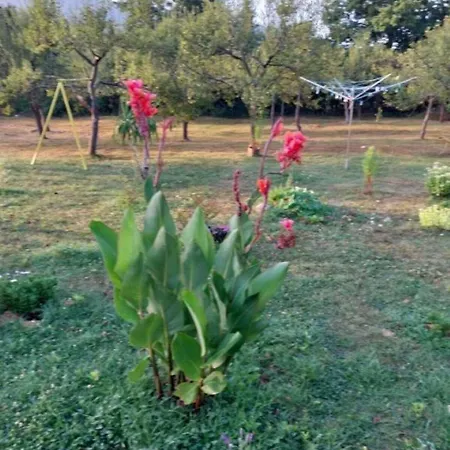 Apartment Lika Quiet *