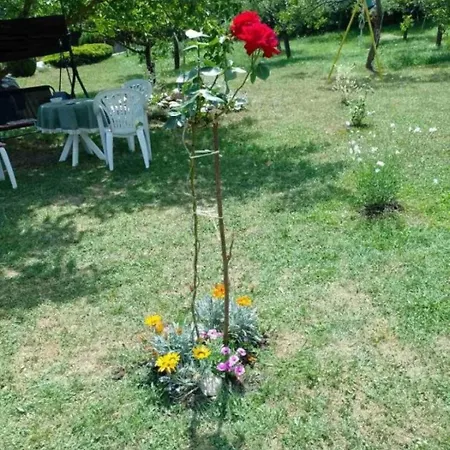 Apartment Lika Quiet Srb