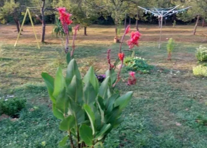 Apartment Lika Quiet *