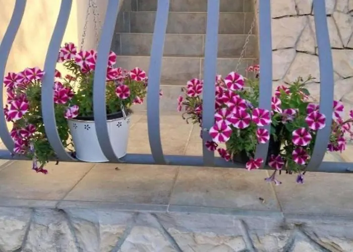 Apartment Lika Quiet