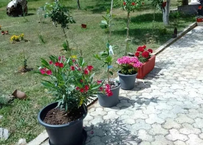 Lika Quiet Apartment *